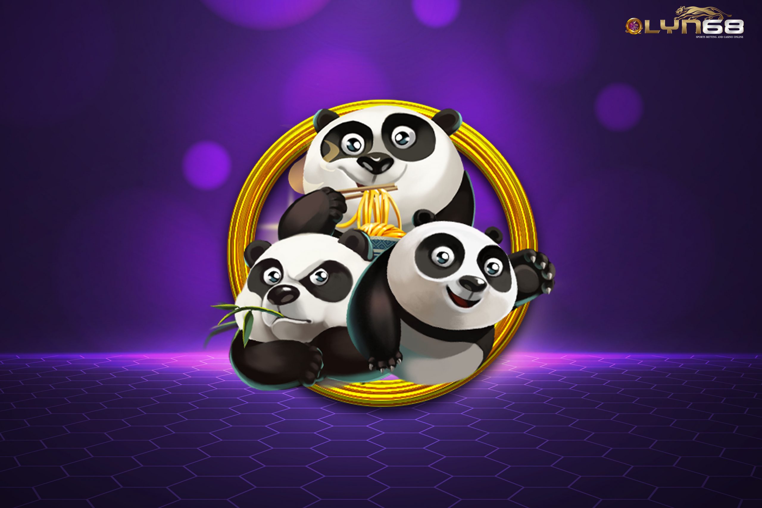 panda555